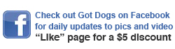 facebook-option got dogs